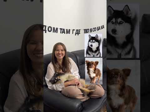 Кинолог выбирает породу🥹 #кинолог #собака
