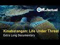 Kinabatangan: River of Life and Loss | Extra Long Documentary