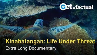 Kinabatangan: River of Life and Loss | Extra Long Documentary