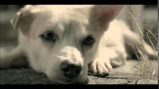 CarTrade.com TV Ad – Lakhon Used Cars screenshot 5