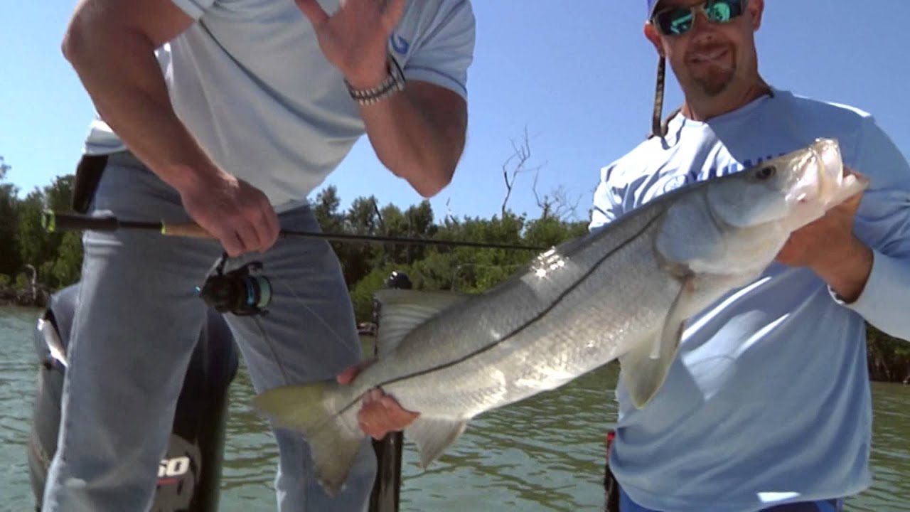 REEL ANIMALS FISHING • It's NOT Just Fishing... It's Catching! YouTube