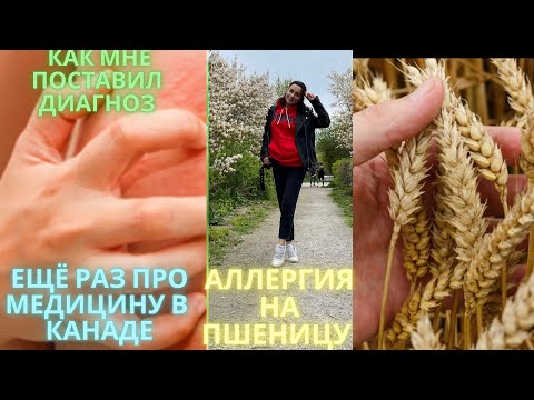 Как я узнала в #Канаде что у меня аллергия? #Аллергия на #пшеницу