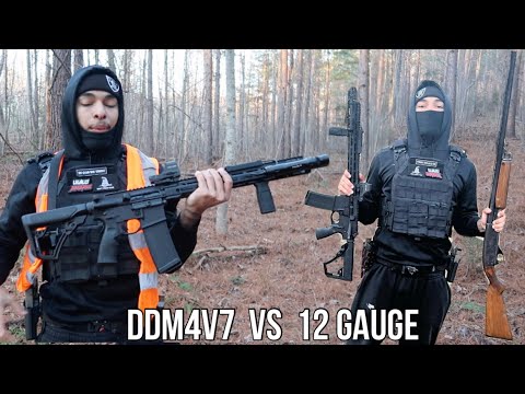 Shooting AR-15 vs 12 Gauge! (Damage Test)