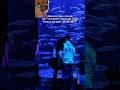 Moment mau record || #couplevlog #steveandtif #couple #funny #coupleshorts #aquarium #aquariumdate
