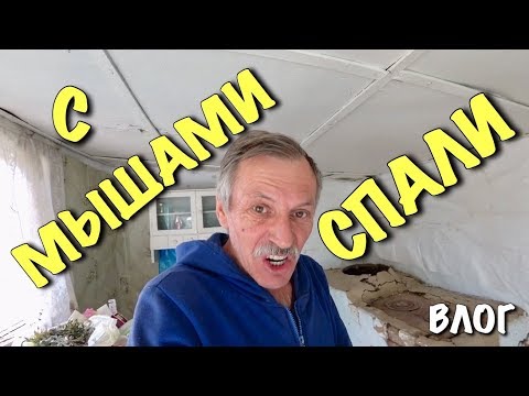 Нам приходилось СПАТЬ С МЫШАМИ в постели..( / Строим загородный дом