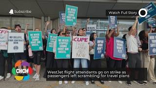 WestJet flight attendants go on strike as passengers left scrambling for travel plans