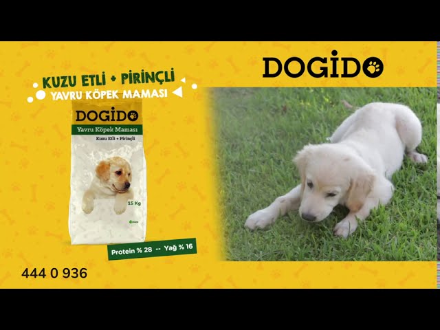 Dogido Kuzu Etli Pirincli Yavru Kopek Mamasi Youtube