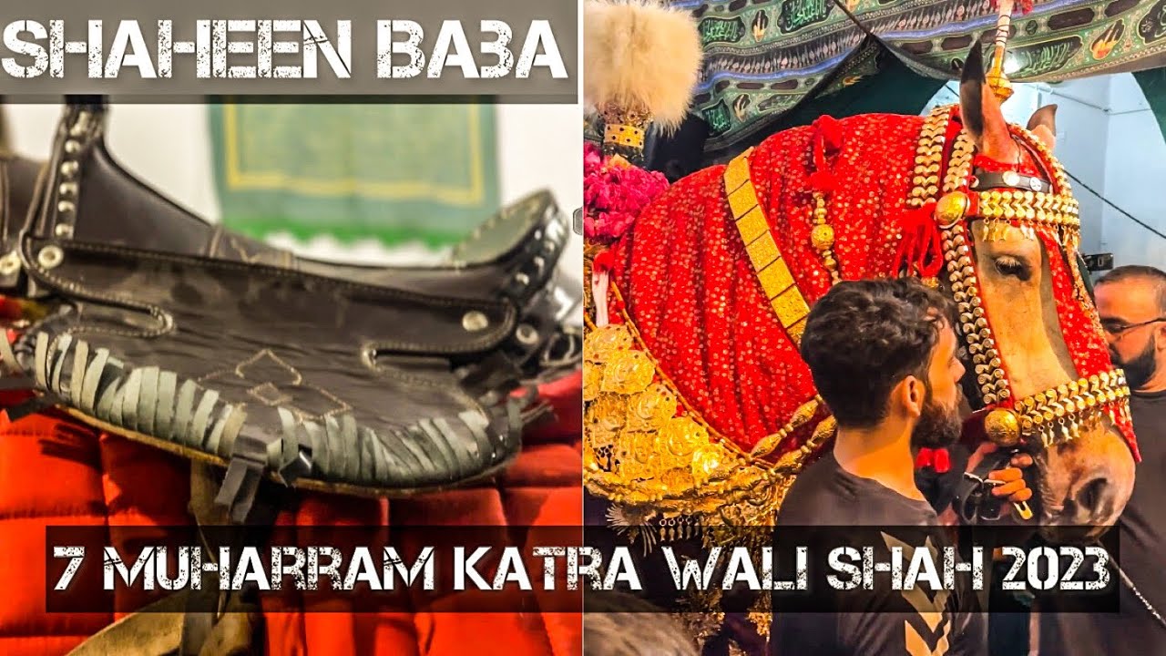 7 Muharram | Katra Wali Shah | Zuljanah Shaheen Baba Baramdgi 2023-1445H