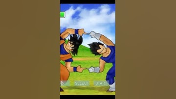 dargon Ball z TTT Goku and Vegeta Fusion Gogeta