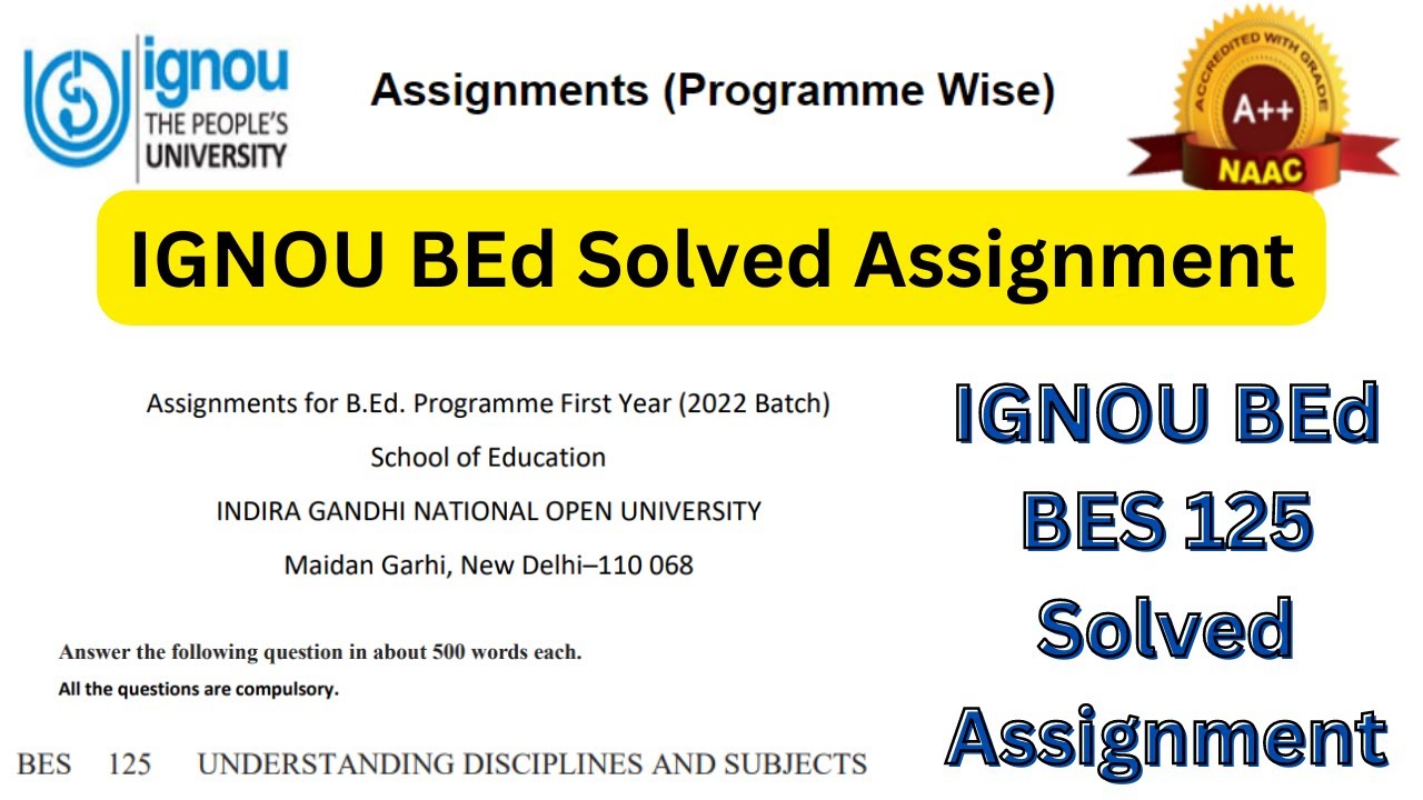 bed first year assignment 2022