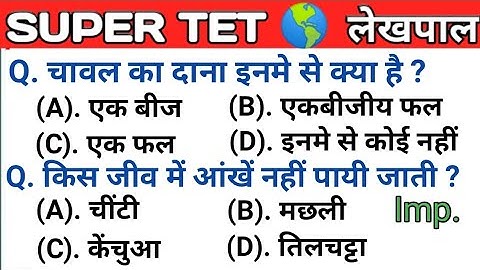 Super TET 2022 || UPTET 2023 Important Questions || Super TET || UP LEKHPAL || SSC || RRB || REET