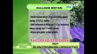 Adaçayı Nedir Adaçayı Faydaları Kibarlı Bitkisel Ürünler 0532 775 31 56