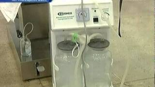 V Chernovcah Rotveiler Zagryz Devochku