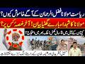 Pak Politics Heats Up | Political Storm Over Maulana Fazlur Rehman's Statement What's Next for PTI?