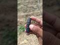 Sottu Neer Pasanam Amaithal// Finolex Drip Irrigation#shortsfeed #shortvideo #dripirrigation #shorts