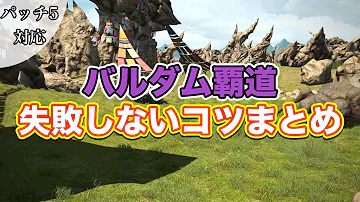 バルダム覇道 ヒーラー