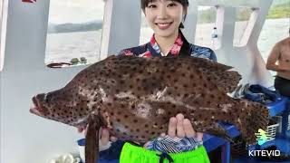 Download Lagu Manado party - Jul 2025 MP3