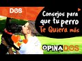 Cómo hacer que mi PERRO ME QUIERA más 🐶♥️🧑🏻 Consejos para mejorar el vínculo 📝