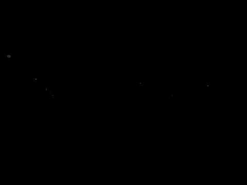 여우야 럼블피쉬