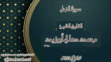 سورة النحل - القارئ الشيخ محمد صالح أبوزيد