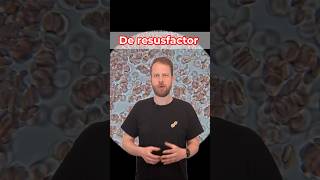 De resusfactor uitgelegd