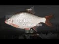 Русская Рыбалка 4 ► Russian Fishing 4 ► Старый Острог - Густера