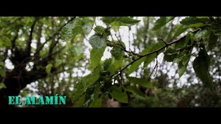 ENTRAMOS EN UN PUEBLO ABANDONADO | URBEX MADRID