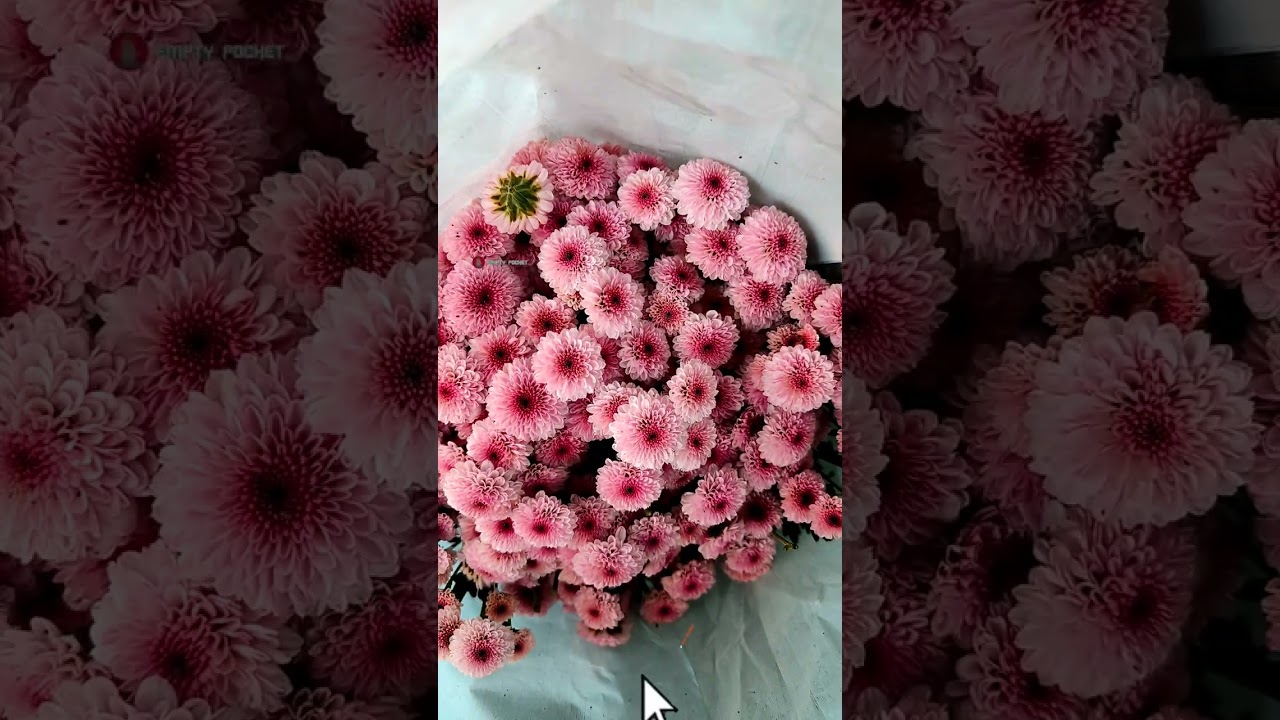 Bouquet Flowers Shop | Koyambedu