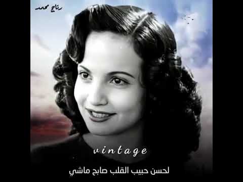 قولوا لعين الشمس متحماشي