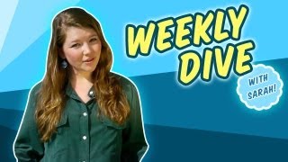 Weekly Dive: Sea Cucumbers Saving Reefs!