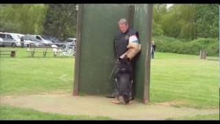 Travis Foster and Vongalanberg Kai Schutzhund 2 Protection
