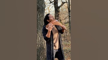 CHESS - Pan Flute Instrumental Music / Meditation