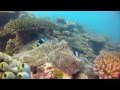 Underwater Madagascar