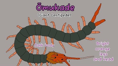 Omukade