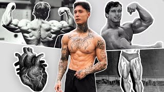 What Is The Most Important Muscle In Your Body?