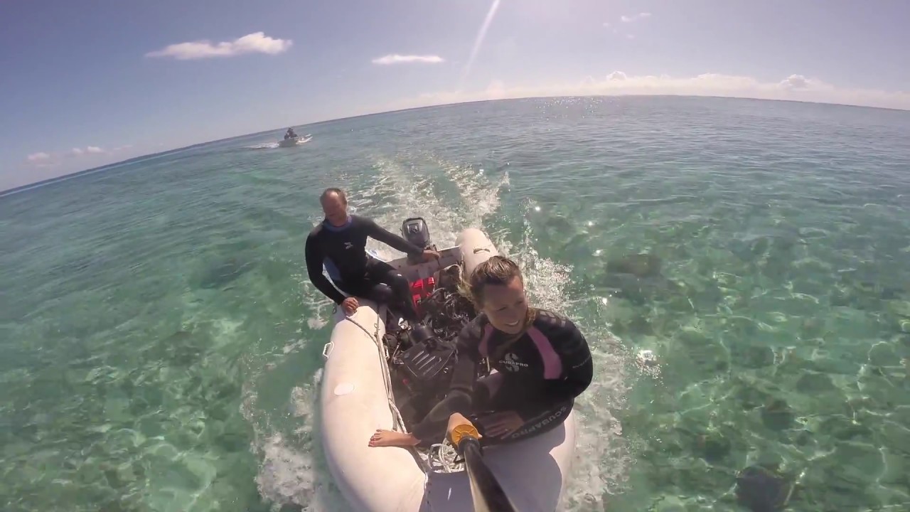 Scuba Diving Australia’s Barrier Reef | 29 Sailing Catalpa
