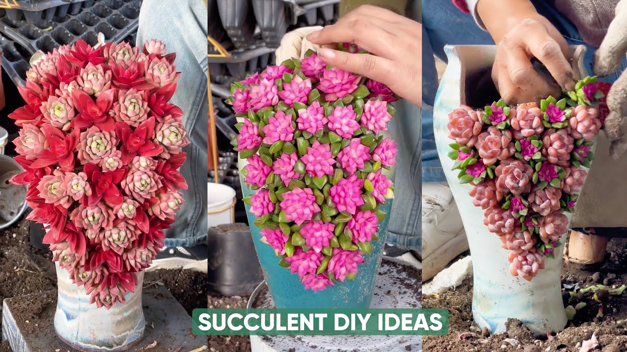 DIY Succulent Garden Ideas! Easy & Creative Outdoor Decor Projects ...