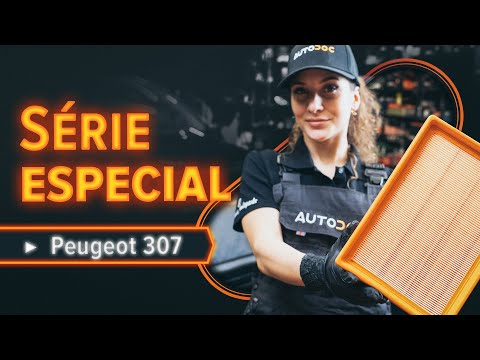 Como substituir filtro de ar no PEUGEOT 307 SW [TUTORIAL AUTODOC]