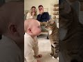 猫の鳴き声の真似をする赤ちゃんと鳴き声を返す猫👶🐱　#baby #cat #cute #funny #love #shorts#cats #shortvideo #赤ちゃん #猫