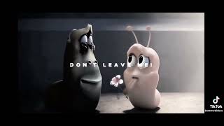 -Sad Song's [Larva Story]