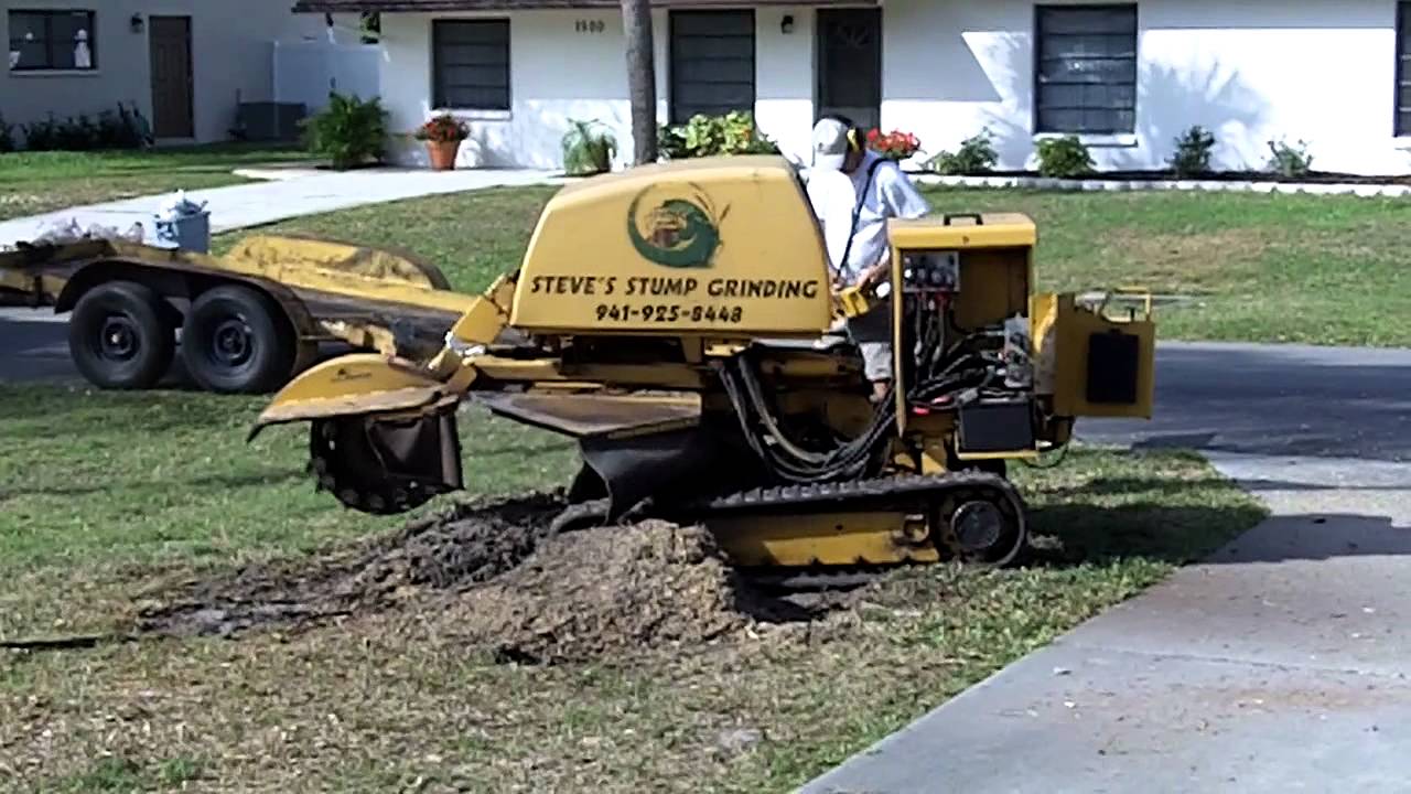 Remote Controlled Stump Grinding YouTube