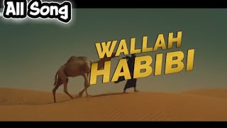 Wallah Habibi Song new Hindi Song 2025 bass Boast Song2025 