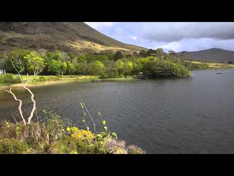 მარიამ კობეშავიძე - ყოველ სნეულებაზე