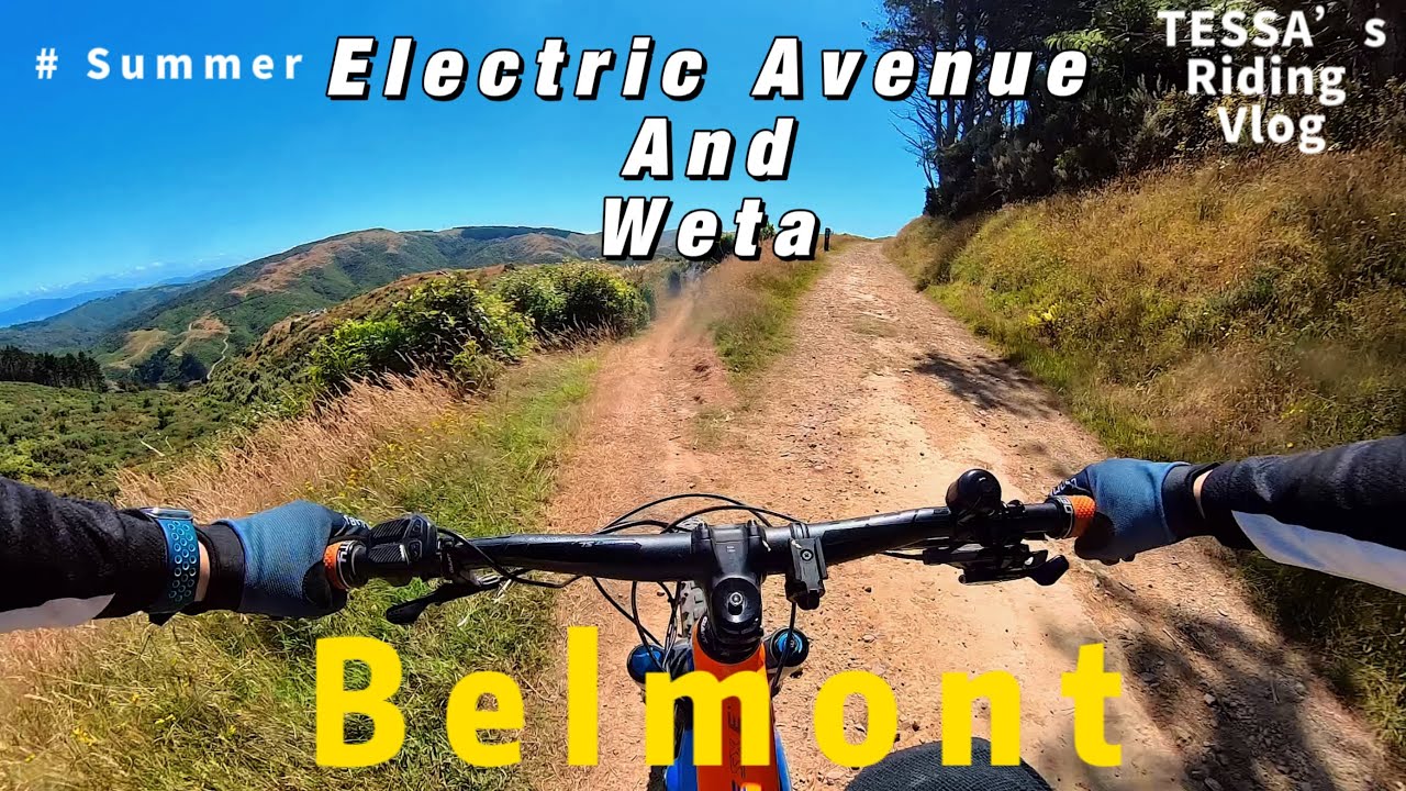 Electric Avenue&Weta@Belmont Regional Park, Wellington