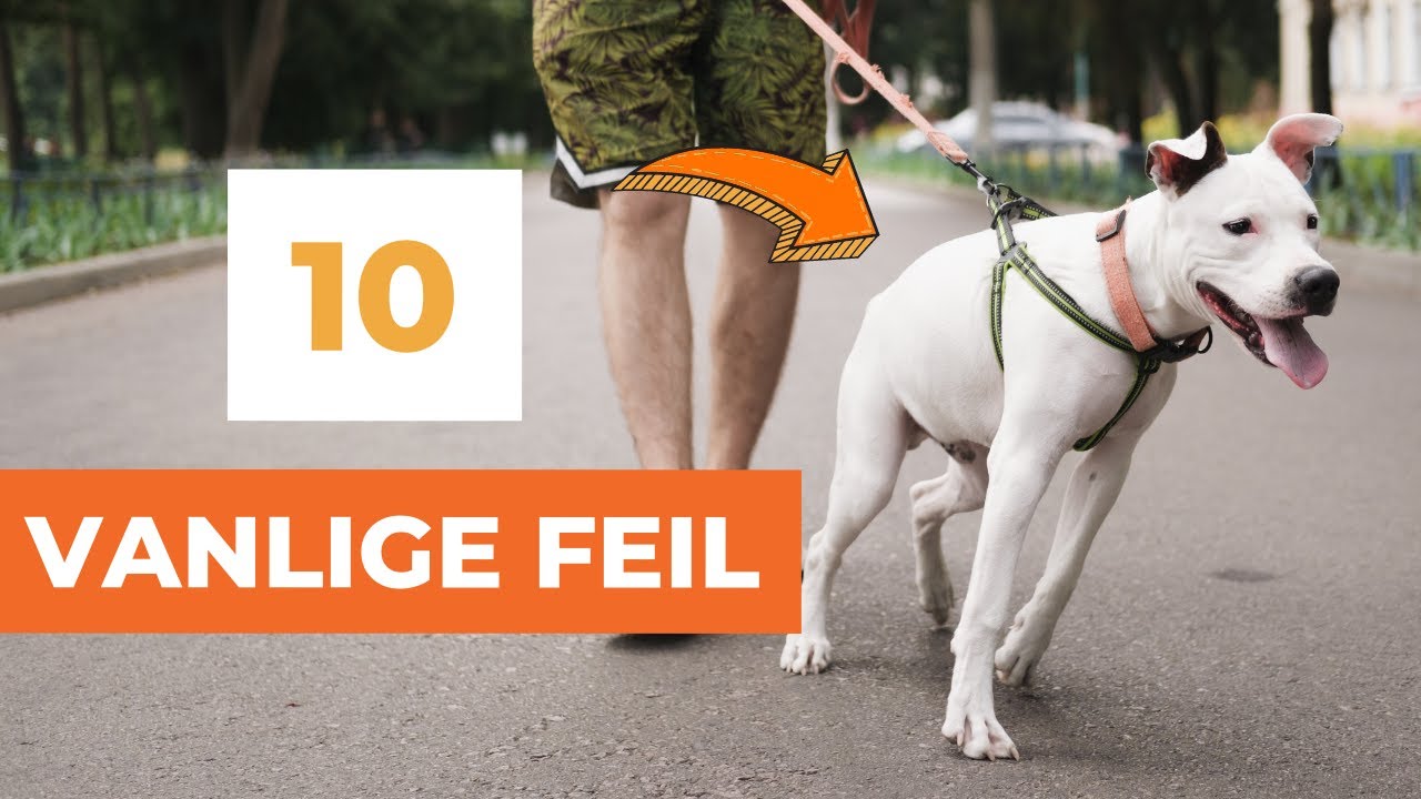 Passeringstrening: unngå de 10 vanligste feilene!