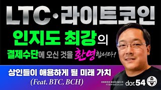 LTC [3] 라이트코인 인지도 최강의 결제 수단에 오신 것을 환영합니다! 상인들이 애용하게 될 미래 가치 Feat  BTC, BCH