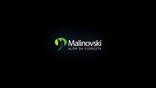 Malinovski | Retrospectiva 2020