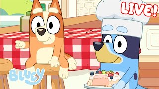 LIVE: Cooking with Bluey | 30 MINUTES+ | Bluey