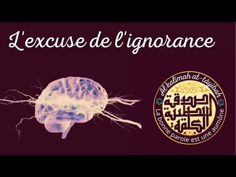 Vidéo: Pourquoi L'ignorance Des Lois N'est Pas Une Excuse