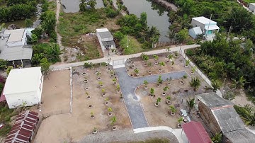 Giới thiệu Phước Lại - Cần Giuộc